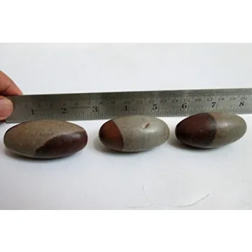 Narmada Shiva Lingam 2" Stone for Healing and Meditation