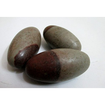 Narmada Shiva Lingam 2" Stone for Healing and Meditation