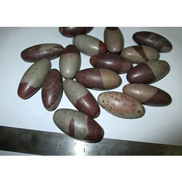 Narmada Shiva Lingam 2" Stone for Healing and Meditation