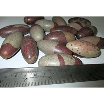 Narmada Shiva Lingam 2" Stone for Healing and Meditation