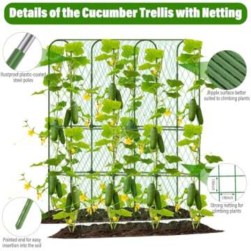 Cucumber Trellis for Outdoor Climbing Plants Support