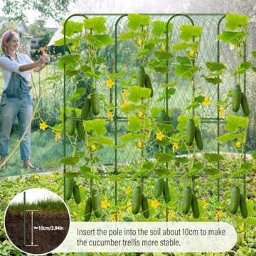 Cucumber Trellis for Outdoor Climbing Plants Support
