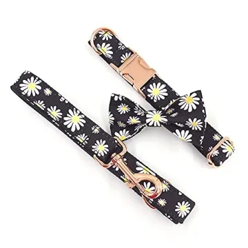 PETDURO Personalized Dog Collar with Engraved Buckle