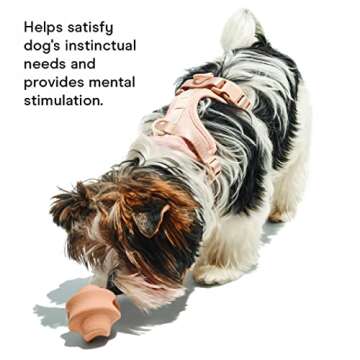 Wild One Small Twist Toss Dog Toy 100% Natural Rubber, Fun to Chew, Durable for All Breeds, Fetch To...