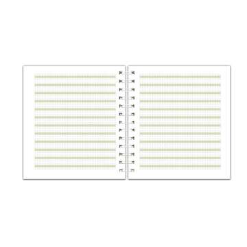 Channie's Youth Composition Notebook - Handwriting Practice, Improvement Journal for Kids, Older Learners, & Special Needs Students, Calligraphy Workbook with Special Writing Blocks, Green