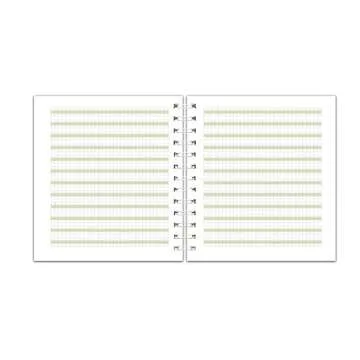 Channie's Youth Composition Notebook - Handwriting Practice, Improvement Journal for Kids, Older Learners, & Special Needs Students, Calligraphy Workbook with Special Writing Blocks, Green