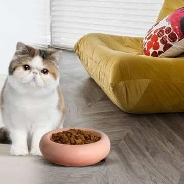 KTLECL 6.1 Inch Cat Bowls, 7 oz Ceramic Cat Food Bowl, Whisker Fatigue Relief Cat Bowl, Anti-Vomiting, Protect Spine, Perfect for Indoor Cats(Pink)