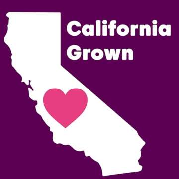 Wilderness Poets, Pistachio Butter - Organic, Raw, 100% Pistachio - Glass Jar (8 Ounce) - Perfect for Dubai Chocolate Bar Desserts with Knafeh or Savory Creations - Unsweetened, California-Grown