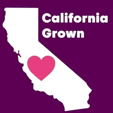 Wilderness Poets, Pistachio Butter - Organic, Raw, 100% Pistachio - Glass Jar (8 Ounce) - Perfect for Dubai Chocolate Bar Desserts with Knafeh or Savory Creations - Unsweetened, California-Grown