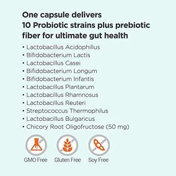 Omax Prebiotic & Probiotic 50 Billion CFU + Chicory Inulin, 10 Strains, Reduce Bloating, Digestion, SIBO, Leaky Gut, Vaginal pH, Acidophilus, Vegan, Dairy Free, Gluten Free, Blister Packaged