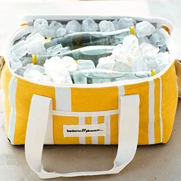 Cute Insulated Cooler Bag for Lunch & 12 Drinks