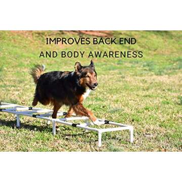 Better Sporting Dogs Agility Training Ladder for Dogs