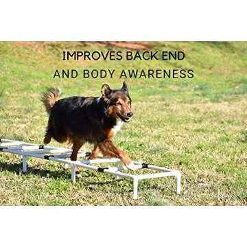 Better Sporting Dogs Agility Training Ladder for Dogs