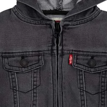 Levi's Baby Boys Hoodie in Pebble Grey - Cozy Trucker Jacket