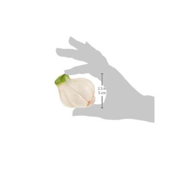 Cosmos Gifts Garlic Salt and Pepper Set, Ceramic, 2-1/4-Inch