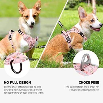 Comfortable No Pull Dog Harness with Reflective Features