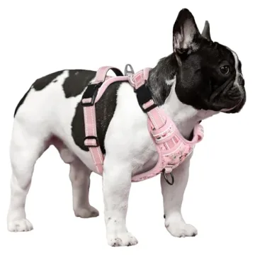 Comfortable No Pull Dog Harness with Reflective Features