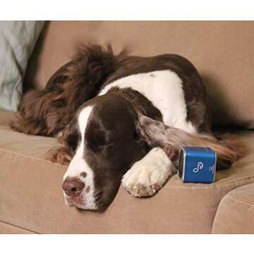 Pet Tunes Bluetooth Speaker Preloaded with Calming Canine Music