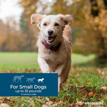 Natural Flea & Tick Protection for Dogs with Essential Oils