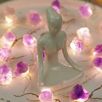 BOHON Decorative Lights Plus Amethyst LED String Lights Battery Operated with Remote 10 ft 30 LEDs Natural Crystal String Lights for Bedroom Party Indoor Birthday Wedding Decor(Plus)