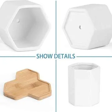 Stylish 3-Piece Ceramic Succulent Planter Set with Tray