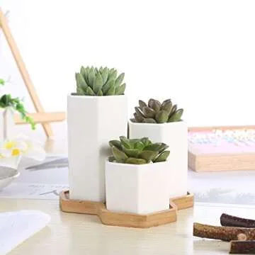 Stylish 3-Piece Ceramic Succulent Planter Set with Tray
