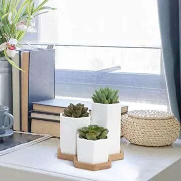 Stylish 3-Piece Ceramic Succulent Planter Set with Tray