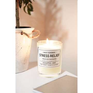 Leoben Co | B.B. Wellness Hand Poured Soy Wax Candle | 9 oz | 40 Hours | Vegan & Eco-Friendly | Infu...
