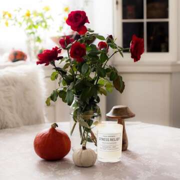 Vegan Soy Wax Candle for Stress Relief - Leoben Co