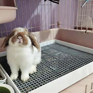 PODOO Rabbit Large Litter Box, Guinea Pig Training Pan Cage with Toilet Tray, Ideal for Rats, Hamsters, Ferret, Bunny Small and Medium Animals, 22x18x3 Inches (Large)