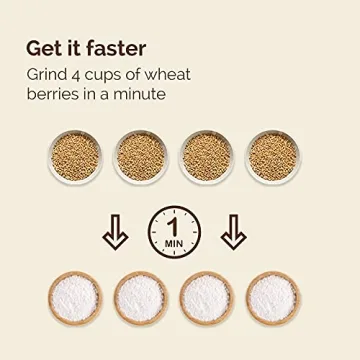 Powerful Electric Grain Mill for Home Baking