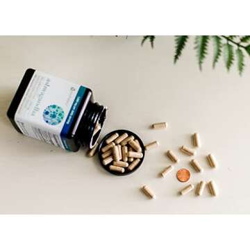 Organic KSM-66 Ashwagandha Vegetarian Supplements 150 Capsules, 1000mg per Daily Serving,Help Support A Healthy Stress Response