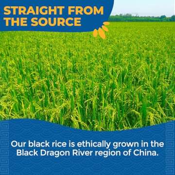 Lotus Foods Heirloom Forbidden Rice - Black Rice, Purple Rice, Black Rice Bulk, Gluten Free Heirloom Rice, Whole Grain, Non GMO, Vegan - 15 Oz Bag (Pack of 6)