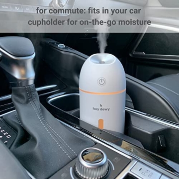 Hey Dewy Wireless Rechargeable Humidifier for Skin