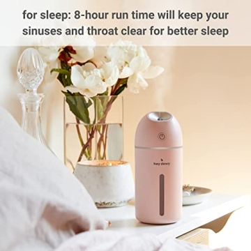 Hey Dewy Wireless Rechargeable Humidifier for Skin