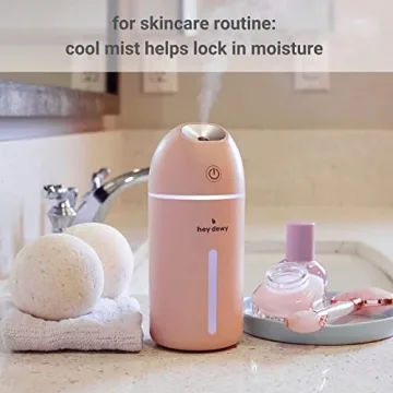 Hey Dewy Wireless Rechargeable Humidifier for Skin