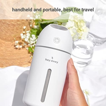 Hey Dewy Wireless Rechargeable Humidifier for Skin
