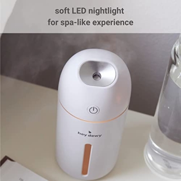 Hey Dewy Wireless Rechargeable Humidifier for Skin