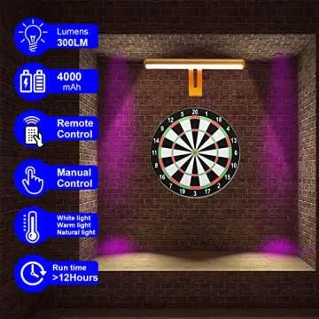 ZOCALOK Rechargeable Picture Light, Cordless Picture Light for Paintings with 2 Remotes, Metal Picture Frame Light with 16 LEDs Head, 3Modes, 300LM Dartboard Light with Timer for Display, Art-Gold