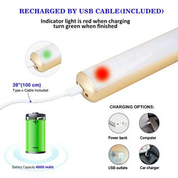 ZOCALOK Rechargeable Picture Light, Cordless Picture Light for Paintings with 2 Remotes, Metal Picture Frame Light with 16 LEDs Head, 3Modes, 300LM Dartboard Light with Timer for Display, Art-Gold