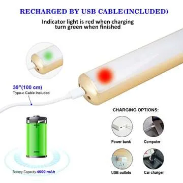 ZOCALOK Rechargeable Picture Light, Cordless Picture Light for Paintings with 2 Remotes, Metal Picture Frame Light with 16 LEDs Head, 3Modes, 300LM Dartboard Light with Timer for Display, Art-Gold