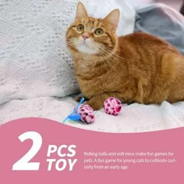 PAWISE Small Cat Litter Box Kit Includes 5 Pieces, Low Entry Cat Litter Pan, Cat Litter Scooper, Cat Bowls, Cat Mouse Toy for Kitty, Perfect Set to Welcome New Kitty Home, Pink