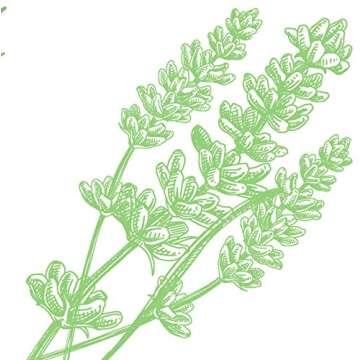 Arm & Hammer Natural Essence Fresh Scent Deodorant, 2.5 oz