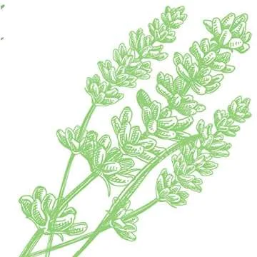 Arm & Hammer Natural Essence Fresh Scent Deodorant, 2.5 oz