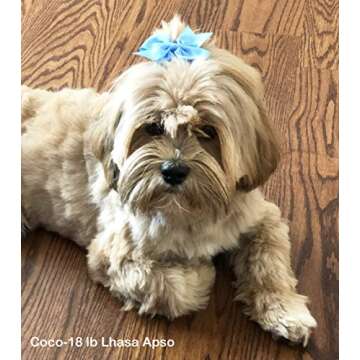 Cute Puppy Supplies Dog Accessories for Large Dogs,Dog Hair Bow,Dog Hair Bows for Medium Dogs,Pet Ha...