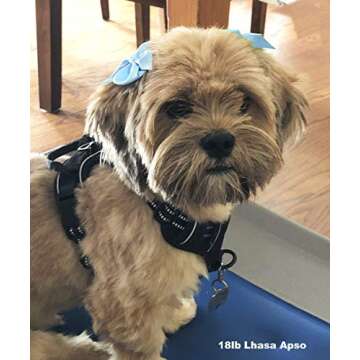 Cute Puppy Supplies Dog Accessories for Large Dogs,Dog Hair Bow,Dog Hair Bows for Medium Dogs,Pet Hair Accessories Bows for Dogs,Pet Grooming Products-8ct 3 Inch Small Dog Bows Girl Hair Clips