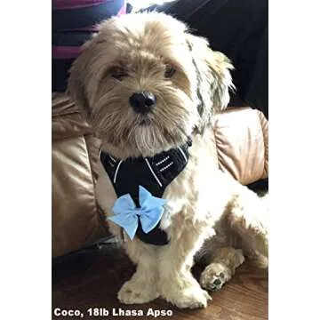 Cute Dog Hair Bows for Small Dogs, 8ct Stylish Clips