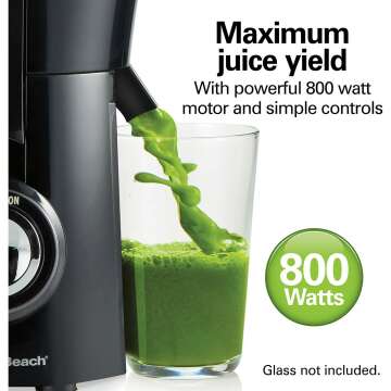 Hamilton Beach Juicer - Easy Clean & 800W Power