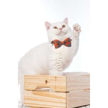 SuperBuddy Cat Collars Breakaway with Cute Bow Bell - 2 Pack Kitten Collar Plaid Cat Collar with Removable Bowtie Cat Collar for Cats Kittens…