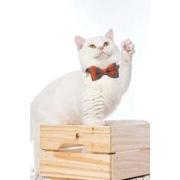 SuperBuddy Cat Collars Breakaway with Cute Bow Bell - 2 Pack Kitten Collar Plaid Cat Collar with Removable Bowtie Cat Collar for Cats Kittens…
